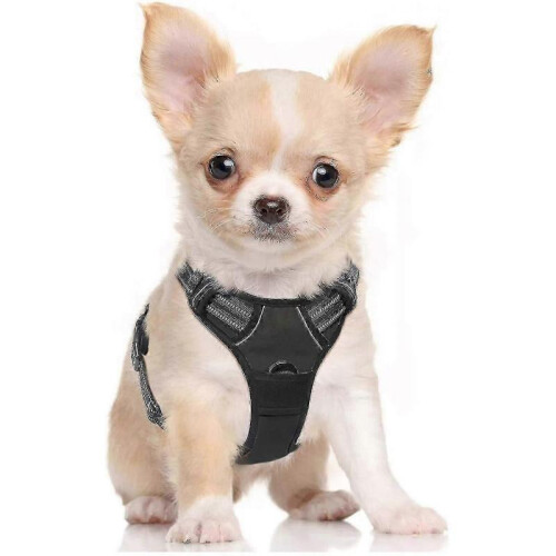 Dog Harness, Dog Harness