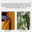 Chimney Insulation Protector Removable Outdoor Guard Hexagonal Design Compact Portable Travel Tent Use 5