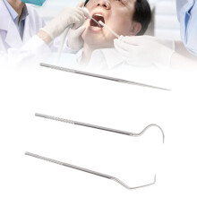 Zahnstocher-Set aus 304-Edelstahl, 3-teiliges Röhrchen
