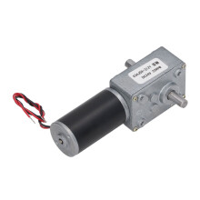 DC-Getriebemotor 24 V Selbsthemmendes Wurmgetriebe mit zwei Wellen Umkehrbar 20 U/min Australischer Stecker
