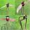 (eagle) Owl Windmill eagle Garden Courtyard Decoration Metal Wrought Iron Ornaments 4