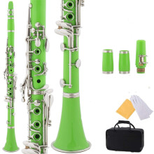 Beginner Clarinet Black Tube Flat B ABS Resin 17 Notes with Green Cloth Bag for Students and Beginners