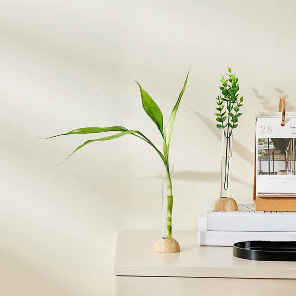 (White) Bamboos Holders Hydroponic Vase Flower Arrangement Home Decorative Arrangement Living Room Dining Table Study Office Arrangement-image-OPC-PJHNDX8-NEW