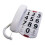 Big Button Phone for Elderly Seniors, Home Land Line Phone 1