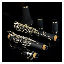Professional Clarinet for Beginners, Black Woodwind Instrument, Premium Materials, Expertly Crafted, Lightweight Design