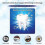 (10BOX) Teeth Strips 7/14 Pair Strips Insensitive Teeth 2