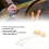 Durable 100Pcs Wool Daubers Set Ideal for Leather Dye Staining & DIY Projects 4