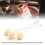 Durable 100Pcs Wool Daubers Set Ideal for Leather Dye Staining & DIY Projects 3