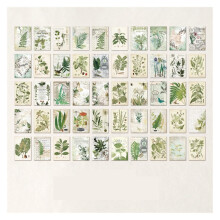 Vintage Aesthetic Scrapbook Kit 50 Pieces Botanical Paper Set for DIY Diaries Collages and Planner Decorations
