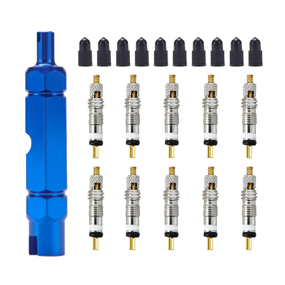 21 Pieces Valve Core Remover Tool Set with Brass Presta Valve Cores and Caps for MTB and Road Bike Compatibility