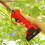 (Green) 21V Wireless 25mm Rechargeable Electric Scissors Branch Pruning Shear Tree Cutting Tools 10