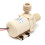 (12V) DC 12V/24V Solar Circulation Brushless Motor Water Pump Ultra Quiet Plastic 4