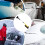 Ice Scraper and Brush for Car, Extendable Snow Brush with Removable Ice Scraper, Scratch-Resistant, Grippy Design 3