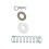 Auto Trans Shifter Bushing Spring Kit Fit 1969?1987  Replacement 10