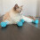 4PCS Silicone Cat Foot Covers, Adjustable, Blue, Scratch Prevention 9