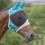 Fine Mesh Earless Horse Fly Mask 5