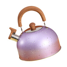 Large 2L Purple Stainless Steel Whistle Kettle for Gas & Induction