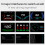 OBDII Head-Up-Display 2.95*4.53*1.38in Schwarz 2