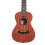 23 Inch Mahogany High Molecular Carbon String Coffee Color Ukulele for Guitar Player 4