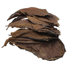 Genérico Catappa Indian Almond Leaves 30 Sheets Pack for Betta Shrimp Shelter Protection and Natural Food