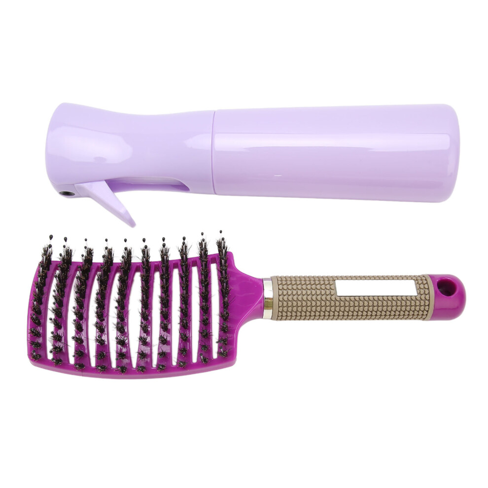 Pink Curved Vented Hair Brush With Spray Bottle, Detangling, Wet Dry Use