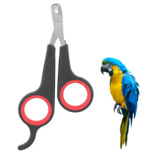 Pet Bird Parrot Small Animals Accessory Grooming