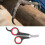 Pet Bird Parrot Small Animals Accessory Grooming 2