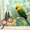 Pet Bird Parrot Small Animals Accessory Grooming 3