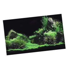 Aquarium Fish Tank Seafloor Water Grass Background