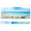 Background Poster Decorative Sea Star Paintings 2