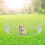 Small 12PCS Paint Coating Iron Net Hamster Fence 4
