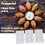 Durable ABS Meatball Maker Press Tool - DIY Four Grids Dishwasher Safe 5