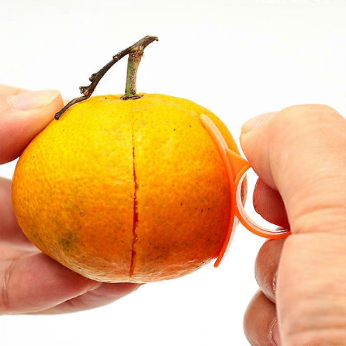 éplucheurs ronds (agrumes) orange 4,1 x 3 cm 2