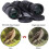 Lachesis 20x50 HD Binoculars Compact Binoculars Professional Binoculars with Night Vision Adjustable 1