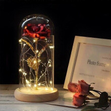 La Rose Éternelle et la Lumière LED La Belle et la BêteMeilleur Cadeau pour la Saint-Valentin Fête d'Anniversaire