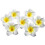 Fiori artificiali - Non specificato - 100 pezzi - Schiuma resistente - 6 cm - Bianco 1