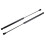2 pezzi per Peugeot 207 Hatchback 2006 2007 2008 2009 2010 2011 2012 2013 Supporto per ammortizzatori 1