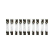 10 pezzi 6 x 30 mm Fusibili a tubo di vetro a rottura rapida 25 A 250 V