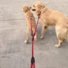 Correa doble de nailon resistente para perros, cuerda trenzada de un solo tirón, antienredos, roja y