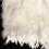 COUNT Feather Table Lamp - E27 Feather Bedside Lamp 1pcs Suitable for Bedroom 4