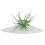 3 Layer Corner Wall Shelves Floating Shelf Wall Storage Rack Office Decor -White 3