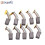 GOXAWEE 10pcs Dremel Accessoires Balais de Carbone pour Dremel Mini Perceuse Outils Électriques Dremel 1