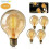 Ampoule globe Zoomdo Vintage Edison E27 - Blanc chaud 40 W - Lot de 4 1