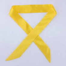 (D81) Small Silk Scarf Solid Handle Bag Ribbons Headband female 2021 Fashion Luxury Brand satin Hair Tie Long Scarves