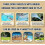 (Blue) Firework Water Gun,irework Water Spray Gun,Cithway Firework Water Gun 5