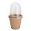 10 Pcs Biodegradable Nursery Pots with Humidity Dome, 6cm & 8cm 11