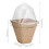 10 Pcs Biodegradable Nursery Pots with Humidity Dome, 6cm & 8cm 6