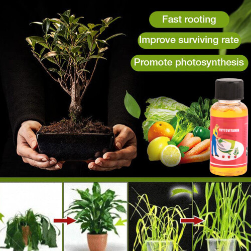 Fast Rooting Plant Nutrient Solution 50ml for Seedlings and Hydroponics 1