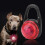 LED Dog Pendant Light with LED Warning Clip  (Red) 5