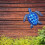 Metal Iron Tortoise,Outdoor Wall Decor(Blue) 4